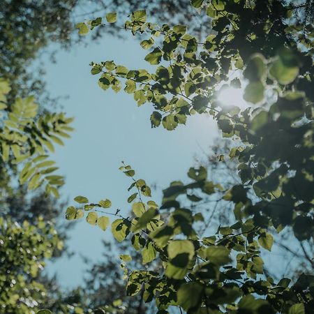 Forest Cabin - 50Min Od Warszawy Wola Polska Eksteriør billede