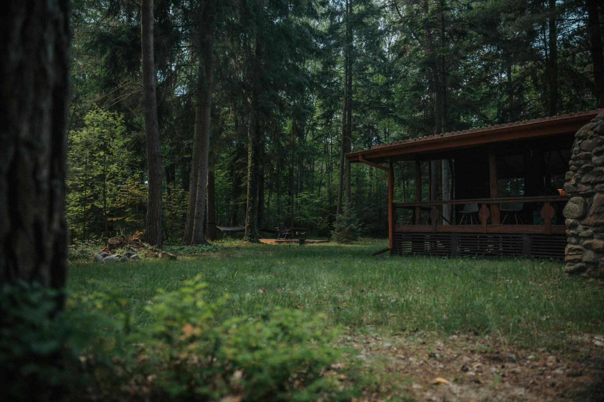 Forest Cabin - 50Min Od Warszawy Wola Polska Eksteriør billede