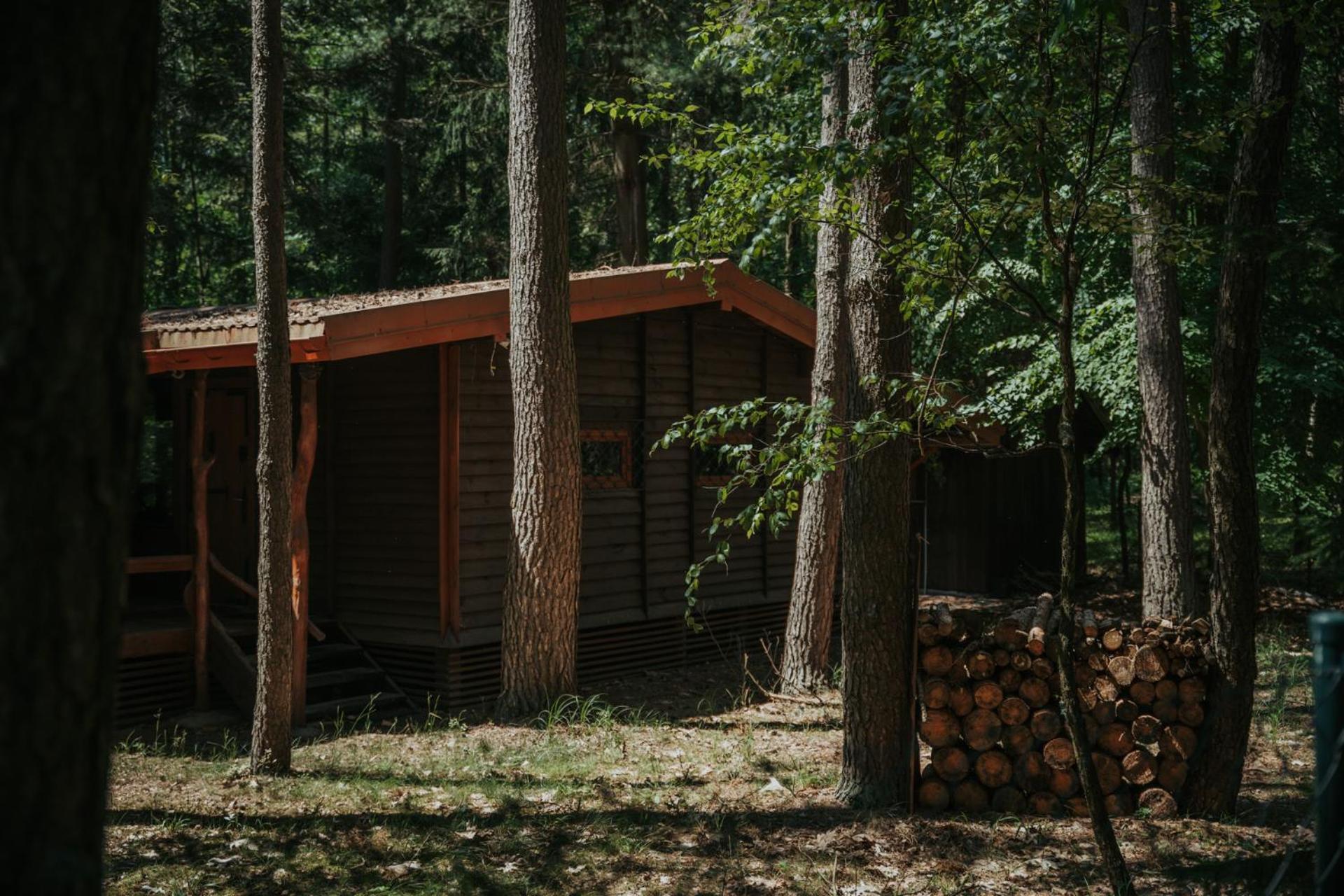 Forest Cabin - 50Min Od Warszawy Wola Polska Eksteriør billede