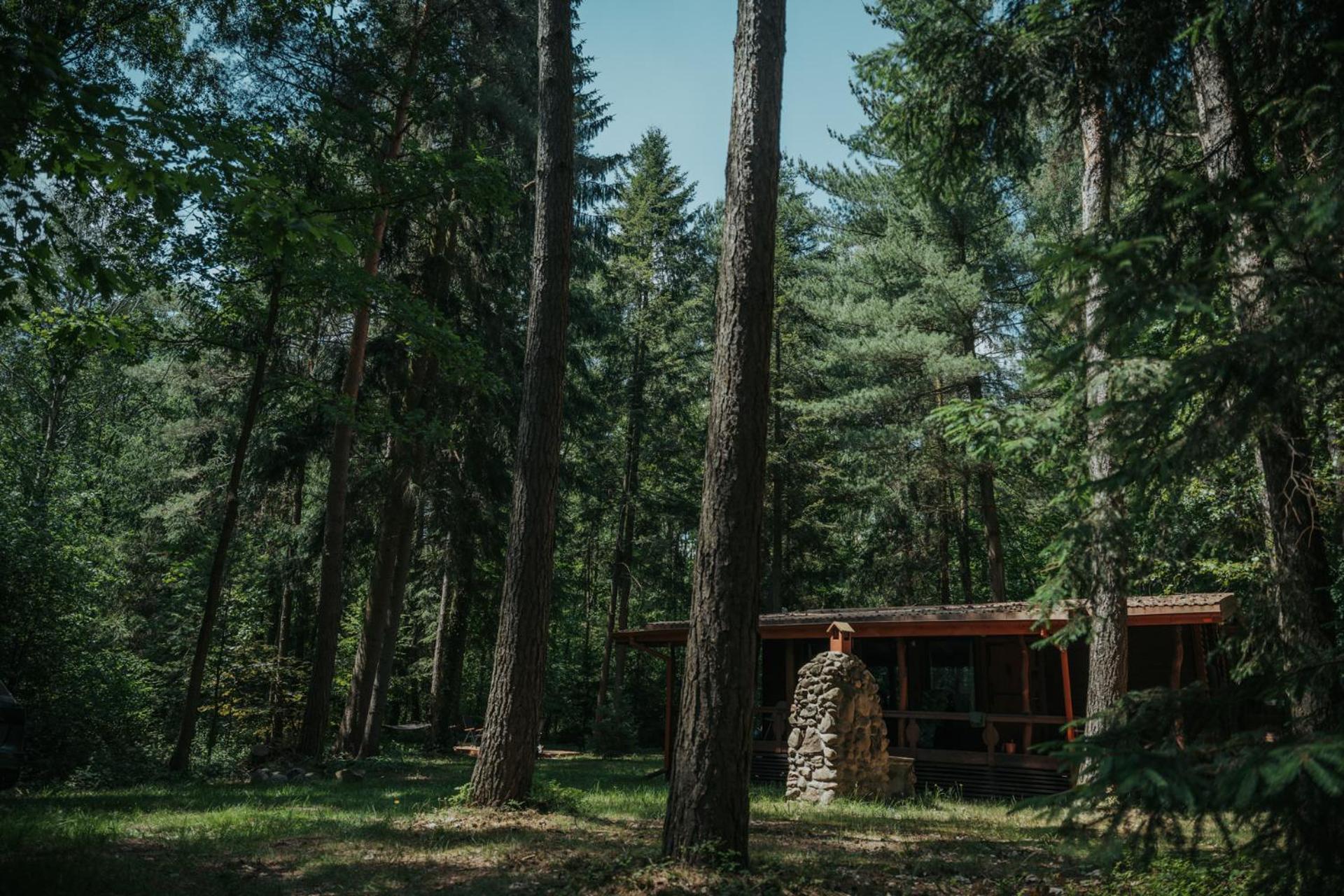 Forest Cabin - 50Min Od Warszawy Wola Polska Eksteriør billede