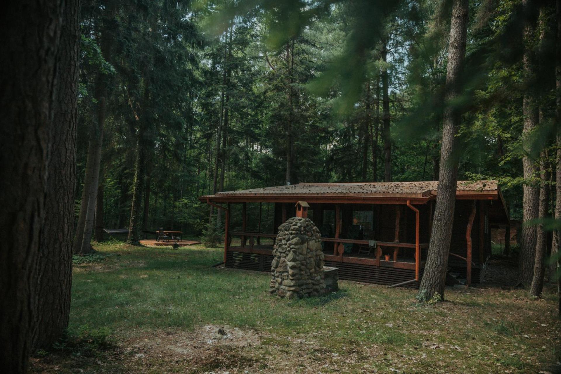 Forest Cabin - 50Min Od Warszawy Wola Polska Eksteriør billede