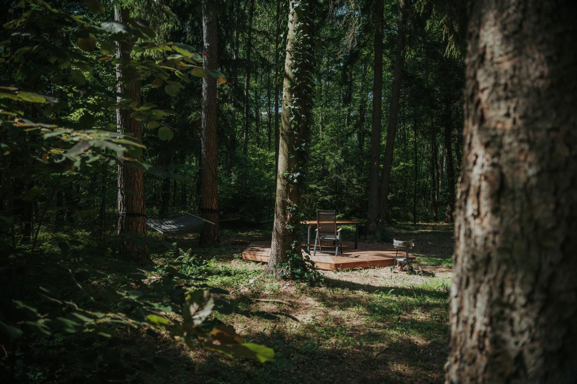Forest Cabin - 50Min Od Warszawy Wola Polska Eksteriør billede