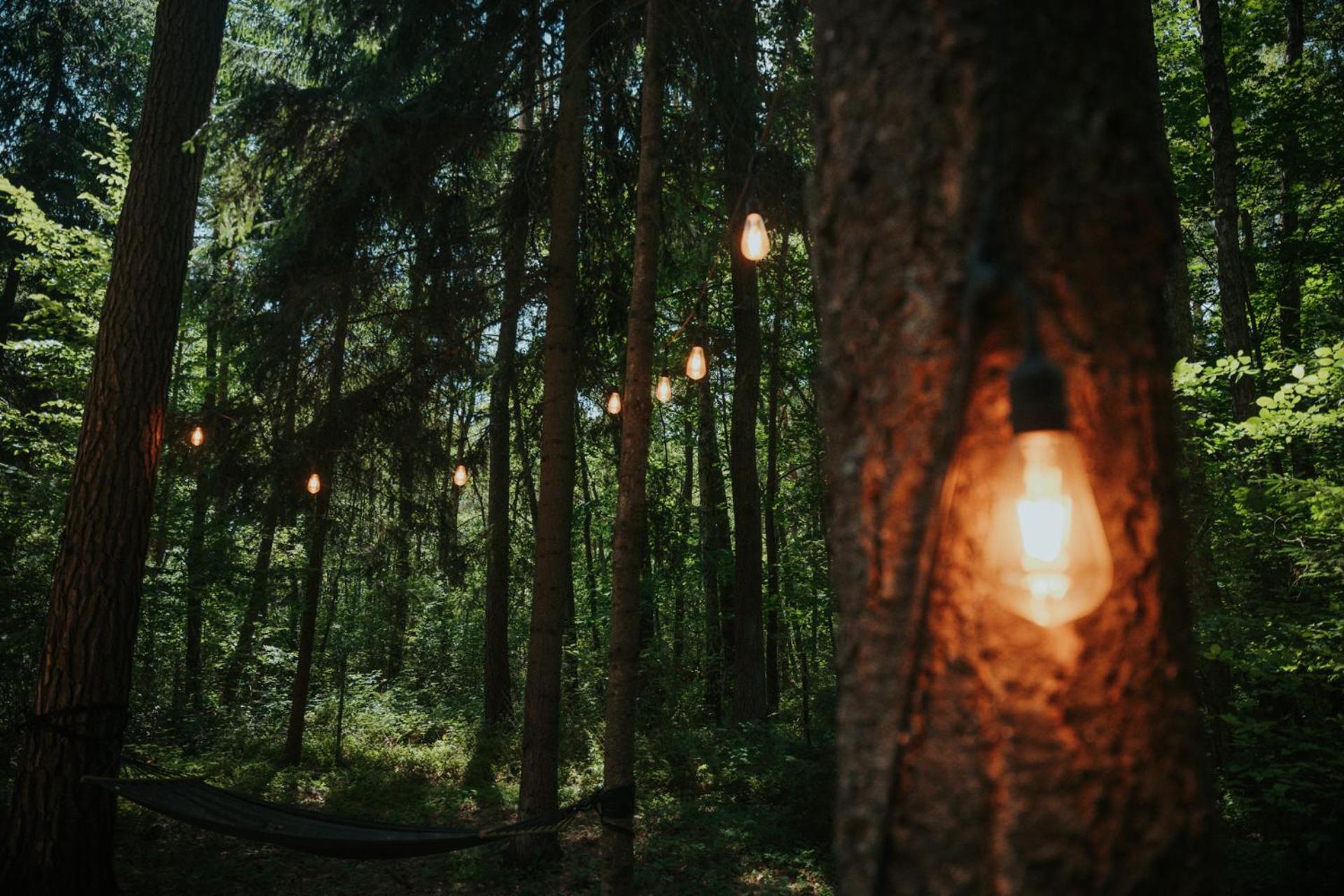 Forest Cabin - 50Min Od Warszawy Wola Polska Eksteriør billede
