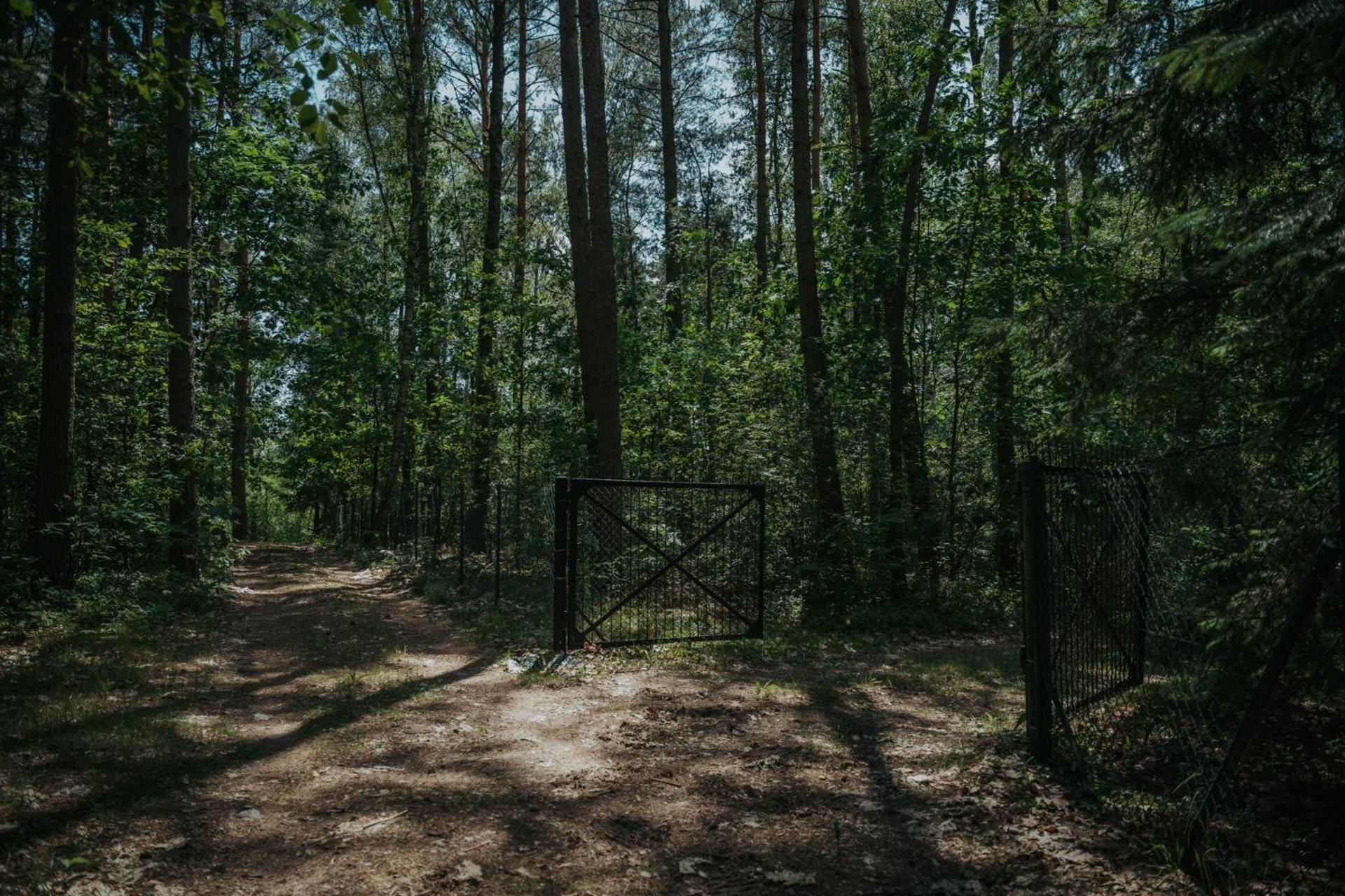 Forest Cabin - 50Min Od Warszawy Wola Polska Eksteriør billede
